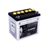 IntAct-Classic 52420 - 12N24-4